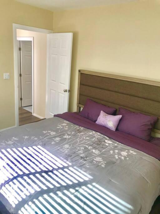 Private Modern Guesthouse With Backyard Los Angeles Bagian luar foto